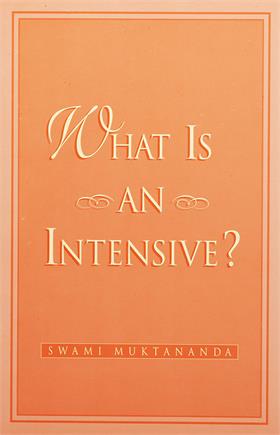 What is an Intensive? Book Cover