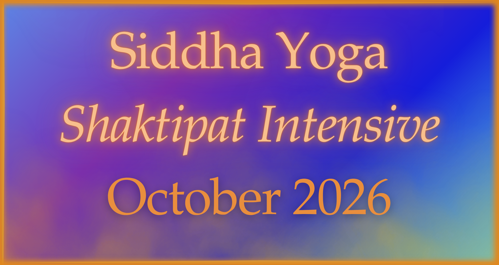 INTENSIVE 2026 - 25 October - Sydney