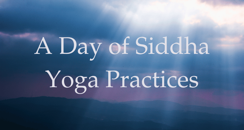 30 November 2025 - Sydney - A Day of Siddha Yoga Practices