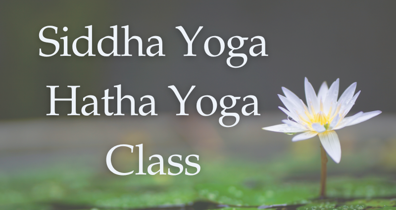 November December 2025 - Sydney - Hatha Yoga - 4 Week Series