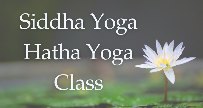 16 March 2025 - Sydney -  Hatha Yoga class