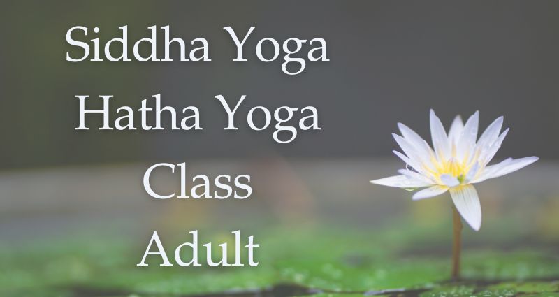 Ashram Stay - Hatha Yoga Class - Adult
