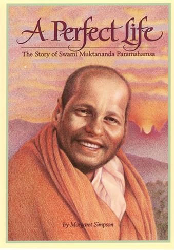 A Perfect Life Book Cover