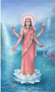 Shree Lakshmi 026