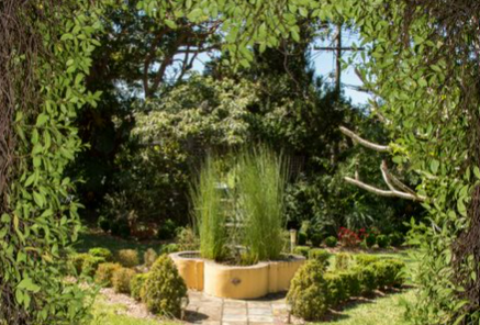 SYAS Sevite Regular Entry